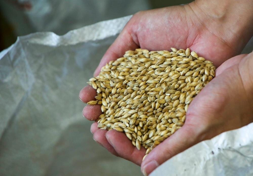 オーダーメイドクラフト 50ケース（1ケース330ml×24本）1200本【地ビール ご当地 ビール 山口県 酒 お酒 飲み比べ IPA 瓶ビール おすすめ】