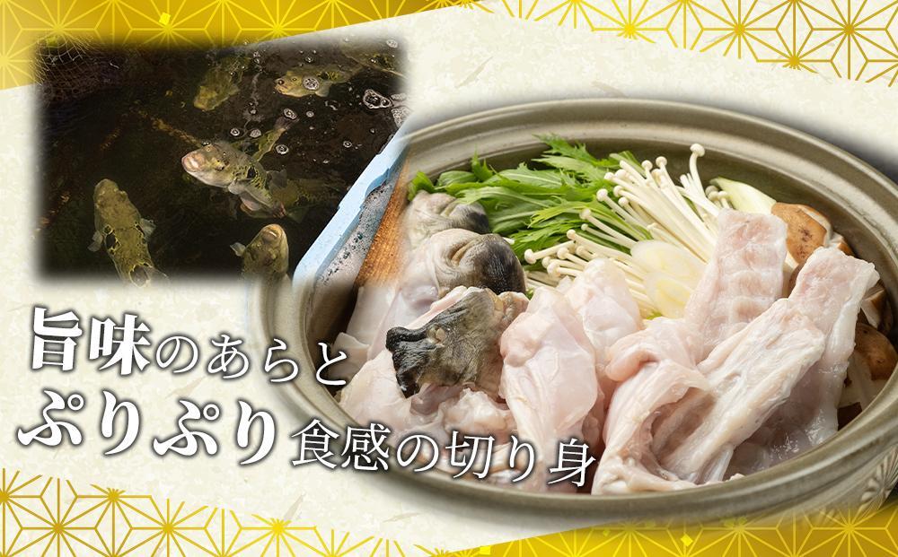 ふぐ料理専門店 『栄ふく』 国産 天然 とらふぐフルコース（3～4人前）青磁皿30cm付