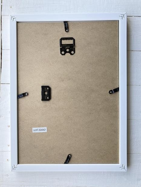 タニク植物の花にサボテンの花畑 〔複製画（A4サイズ）〕 （額付き）絵：徳原望