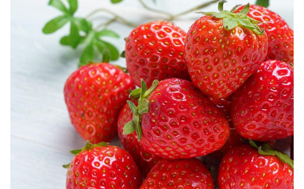 【先行予約12月下旬以降発送】極甘イチゴ よつぼし ２段箱(約800ｇ～900ｇ） 大粒完熟つみとり