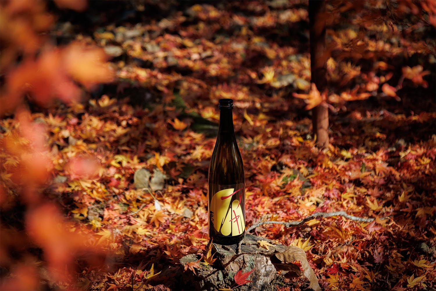 【定期便4回】はつもみぢ季節酒　1本(720ml)×4回