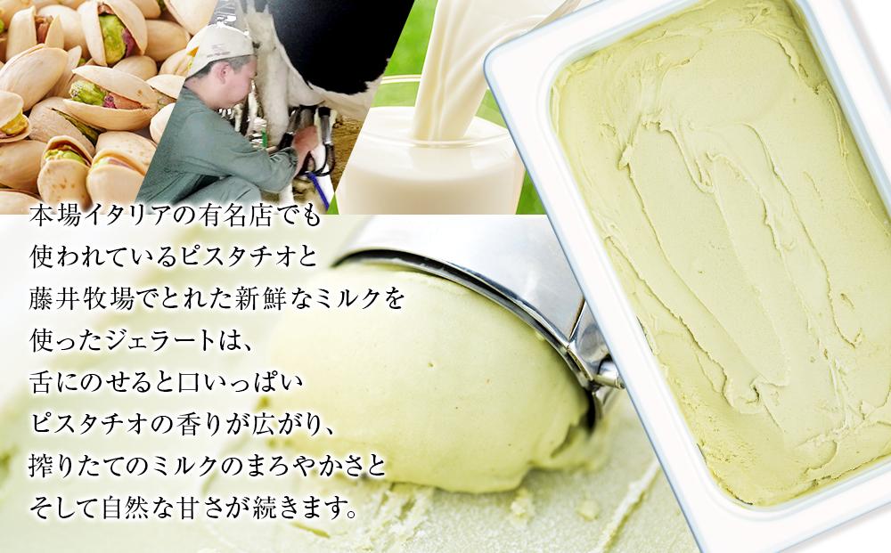 【訳あり】ピスタチオ ジェラート 1.25リットル【大容量 アイス 業務用 スイーツ 人気 デザート 冷凍 氷菓子 1.25L 家族 ファミリーサイズ イタリア シチリア産】