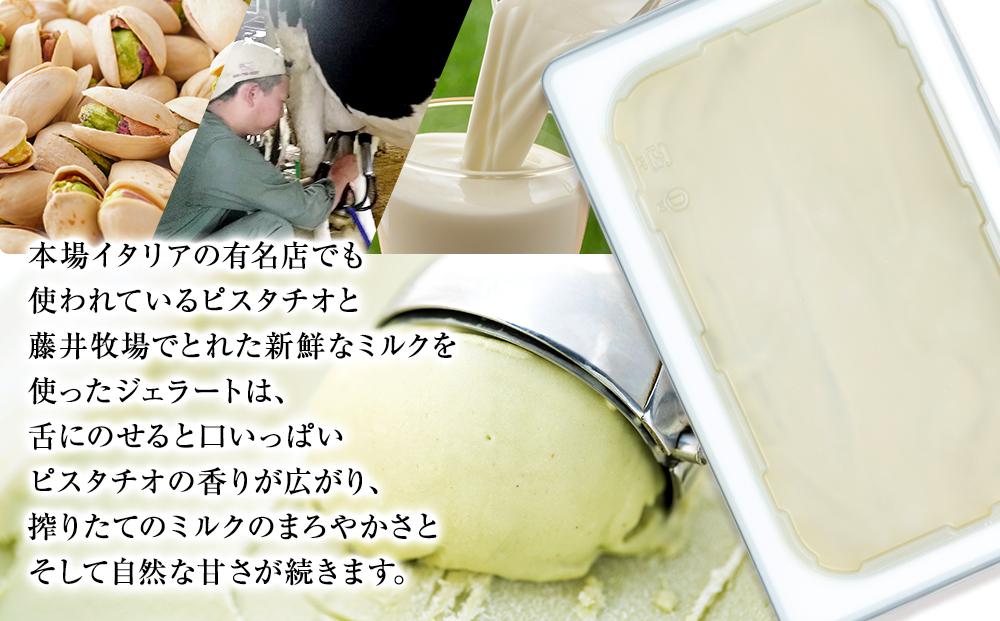 【数量限定】ピスタチオ ジェラート 2.5リットル【大容量 アイス 業務用 訳あり スイーツ 人気 デザート 冷凍 氷菓子 2.5L 家族 ファミリーサイズ イタリア シチリア産】