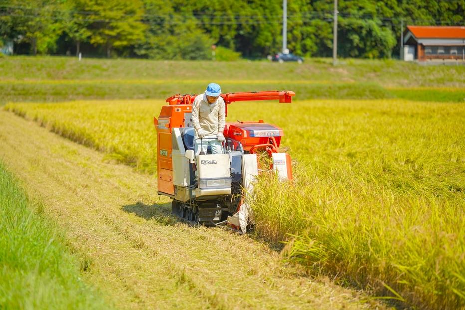 令和7年産 コシヒカリ 5 kg 鹿野高原米 精米