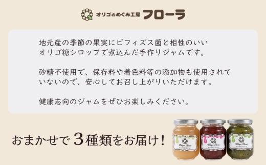 数量限定　オリゴのめぐみ手作り無添加ヘルシージャム（おまかせ3本セット・110g×3本）