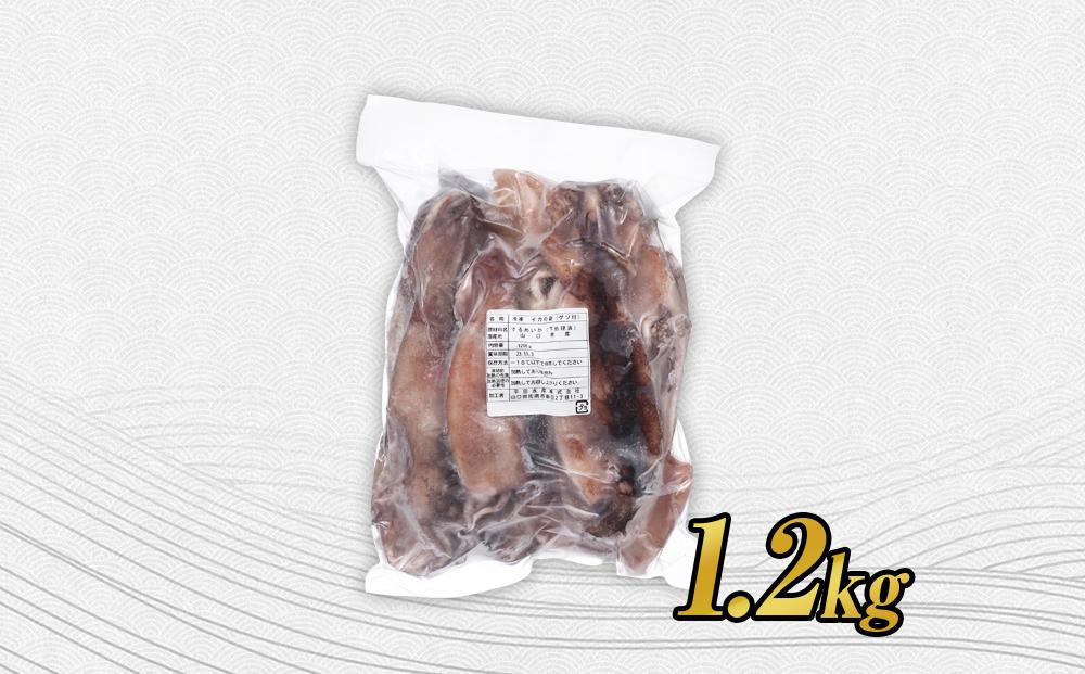 イカ 訳あり ゲソ付き 冷凍 スルメイカ 山口県産 1.2kg
