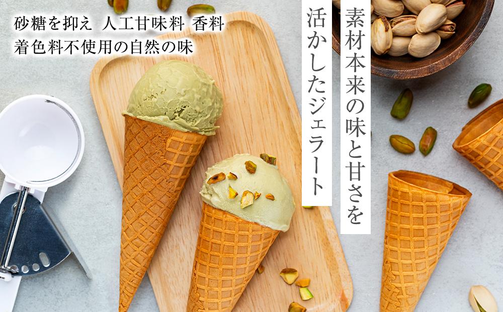 【数量限定】ジェラート 500ml×2種 食べ比べ シチリア産 ピスタチオ 豆乳ピスタチオ【大容量 アイス 業務用 セット スイーツ 人気 デザート 冷凍 氷菓子 合計 1リットル 家族 ファミリーサイズ イタリア】