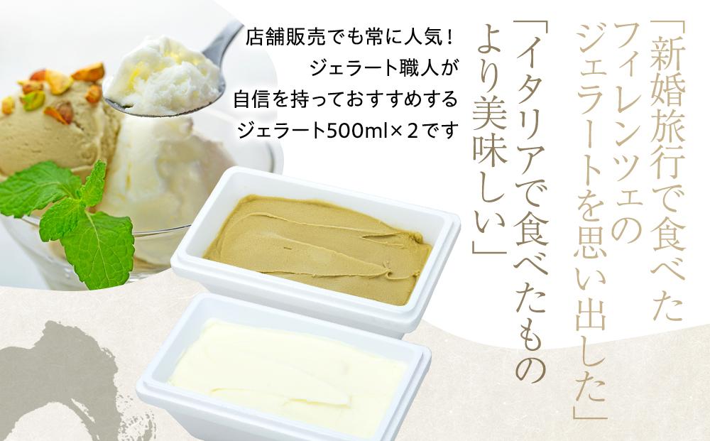 【数量限定】ジェラート 500ml×2種 食べ比べ  シチリア産 ピスタチオ 朝搾りミルク【大容量 アイス 業務用 セット 合計 1リットル スイーツ 人気 デザート 冷凍 氷菓子 家族 ファミリーサイズ】