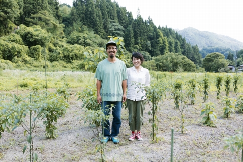 グルグルグリーンカレー 唐辛子農家のつくるクラフトカレーペースト（辛さノーマル）＆（辛さホット）セット