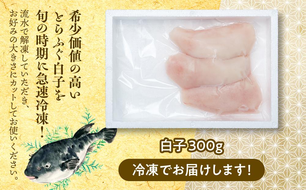 【年内発送】 ふぐ料理専門店 『栄ふく』 国産 とらふぐ 希少価値 白子 約300ｇ