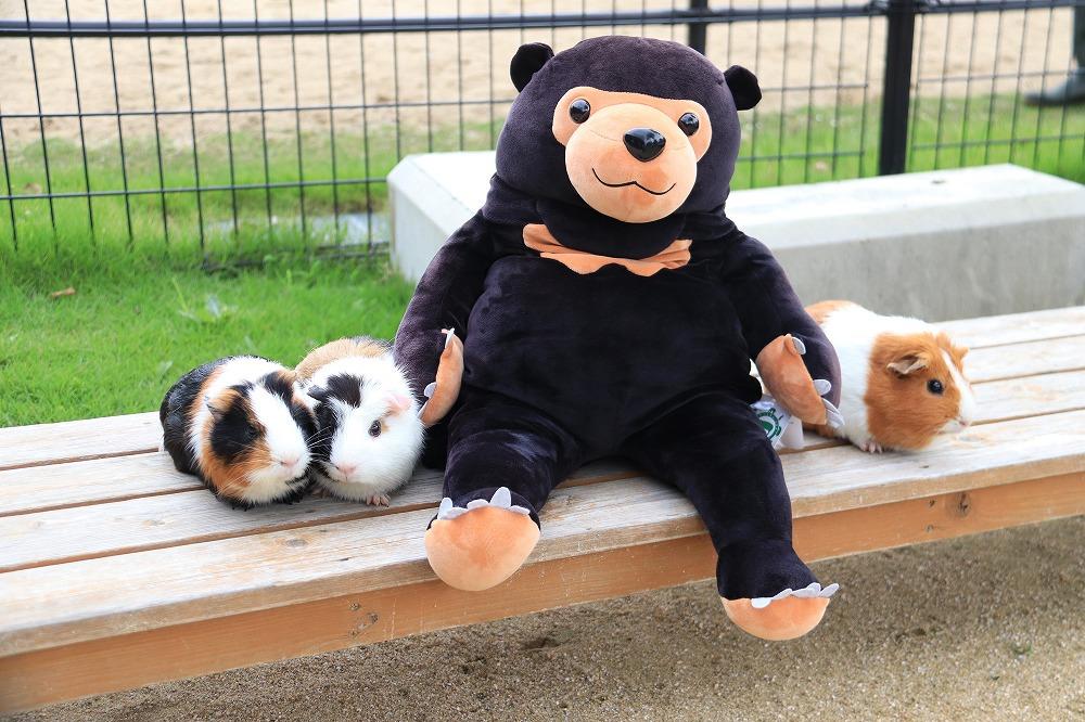 周南のほほんマレーグマ