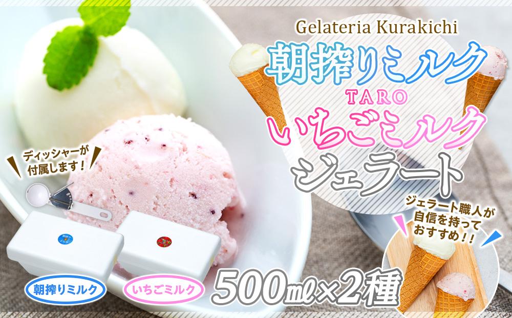 【数量限定】ジェラート 500ml×2種 食べ比べ 朝搾りミルク TAROいちごミルク【大容量 アイス 業務用 セット 合計 1リットル スイーツ 人気 デザート 冷凍 氷菓子 家族 ファミリーサイズ 苺】