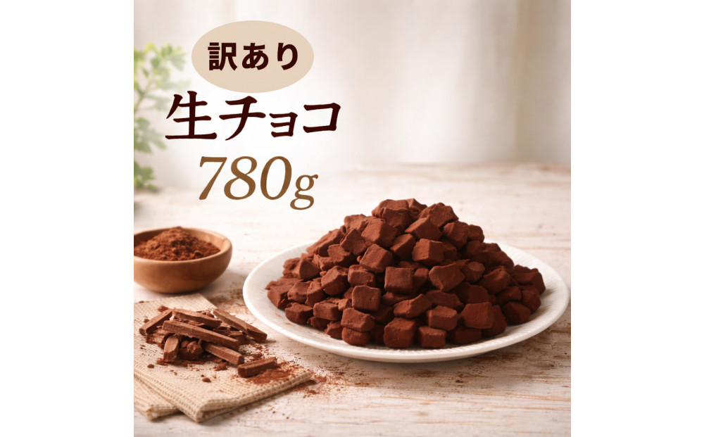 訳あり 濃厚生チョコレート 約780g（割れ・不揃い） 冷凍便