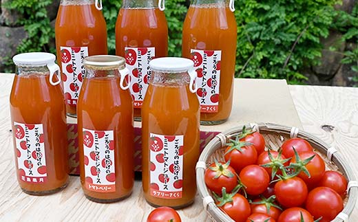 大人気 ごろうのはたけ ミニトマトジュース 180ml×6本 トマト ミニトマト ジュース 野菜 ご当地 グルメ 飲料 ギフト 贈り物 F6L-1320