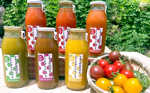 大人気 ごろうのはたけ カラフルミニトマトジュース 180ml×6本 トマト カラフルトマト ミニトマト ジュース 野菜 ご当地 グルメ 飲料 ギフト 贈り物 F6L-1321