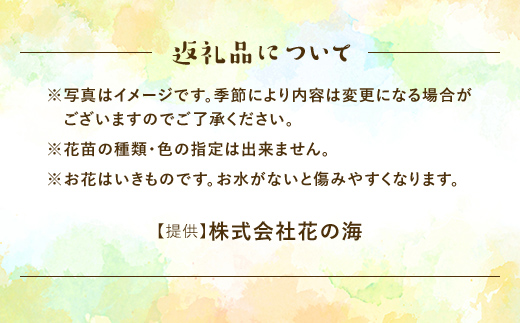 生産農場直送！季節の花苗セット (9ポット程度) F6L-868 9ポット程度