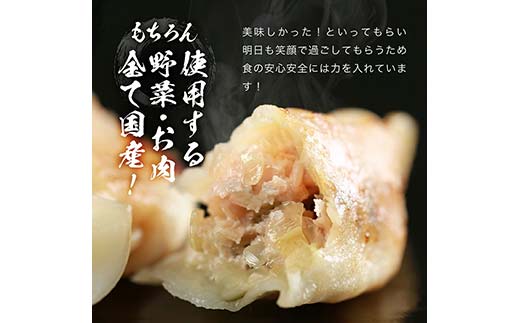 長州黒かしわ餃子＆豚餃子 食べ比べセット 120個入り 手作り 生餃子 餃子 国産野菜 冷凍 化学調味料不使用 化学調味料無添加 らいちの餃子 黒かしわ 長州黒かしわ F6L-956  120個入り