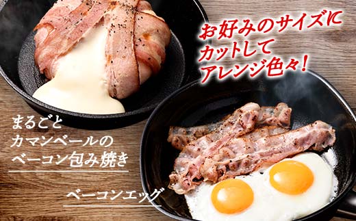 薄切りベーコン 計 1kg 500g×2パック 大容量 薄切り ベーコン 肉 豚肉 豚バラ 料理 朝食 朝ご飯 スライス サラダ スープ パスタ グルメ 食品 F6L-1070 薄切りベーコン1kg