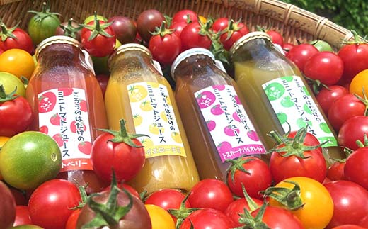 大人気 ごろうのはたけ カラフルミニトマトジュース 180ml×6本 トマト カラフルトマト ミニトマト ジュース 野菜 ご当地 グルメ 飲料 ギフト 贈り物 F6L-1321