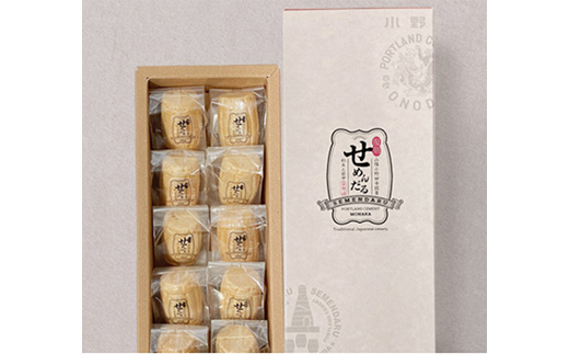 【熨斗付き/志】「復刻せめんだる」10個入り×2箱 F6L-919 熨斗付き/志