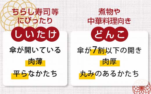 天然水仕込み生しいたけ 2種混合 約500g 農家直送 生しいたけ 椎茸 どんこ 混合 ミックス ご当地 グルメ 食品 1万円以下 F6L-934