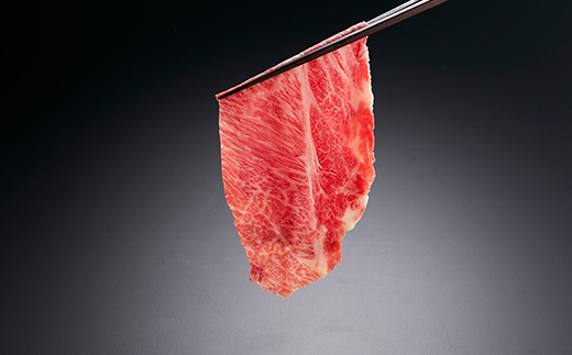 やまぐち和牛燦(きらめき) 肩ローススライス(500g) 肉 牛肉 和牛 黒毛和牛 やまぐち和牛燦 肩ロース スライス グルメ F6L-965 肩ローススライス(500g)