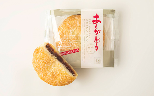 ありがとうパイ 10個入り 菓子 焼き菓子 おかし スイーツ デザート グルメ 食品 F6L-1084