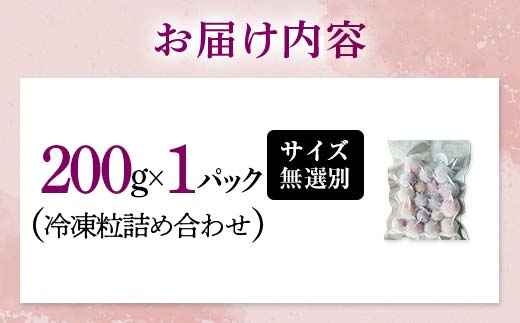 「冷凍ぶどう」200g フルーツ ぶどう 葡萄 ブドウ 山口県 山陽小野田市 ふるさと納税 F6L-1135