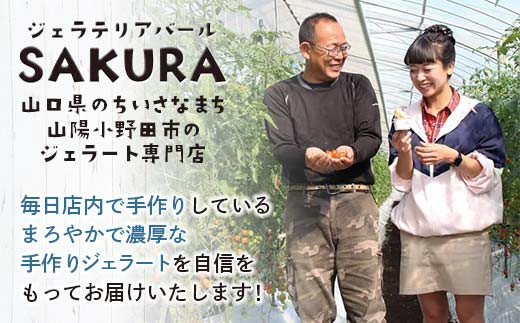 【業務用】大人気！ヒノデジェラート 山口県産きなこ 1kg スイーツ ご褒美 デザート ファミリー 大容量 アイスクリーム ご当地 グルメ 食品 F6L-1228