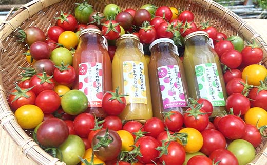 大人気 ごろうのはたけ カラフルミニトマトジュース 180ml×6本 トマト カラフルトマト ミニトマト ジュース 野菜 ご当地 グルメ 飲料 ギフト 贈り物 F6L-1321