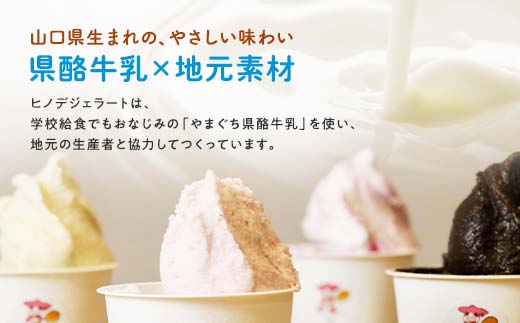 ＜業務用＞大人気！ヒノデジェラート みるく 1kg 業務用 ジェラート ミルク 牛乳 アイスクリーム デザート ご当地 グルメ 食品 F6L-669