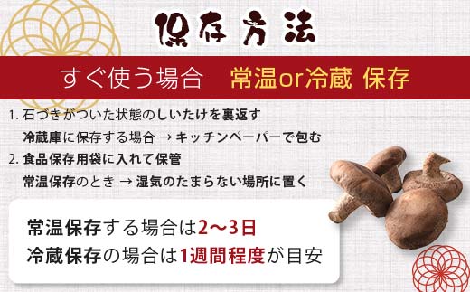 天然水仕込み生しいたけ 2種混合 約500g 農家直送 生しいたけ 椎茸 どんこ 混合 ミックス ご当地 グルメ 食品 1万円以下 F6L-934