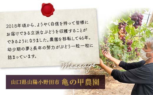 「冷凍ぶどう」200g フルーツ ぶどう 葡萄 ブドウ 山口県 山陽小野田市 ふるさと納税 F6L-1135