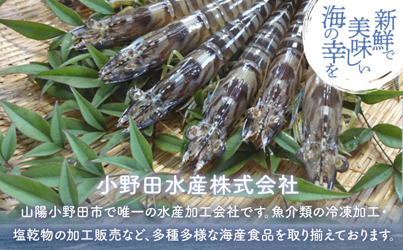 小野田水産の手作りエビフライ 計42本 14本×3パック エビフライ 小分け 惣菜 おかず お弁当 夕食 ご当地 グルメ 食品 F6L-568 42本