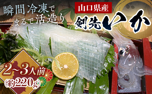 瞬冷まるで活造り！天然 剣先イカ 2～3人前程度 いか イカ 烏賊 活造り 刺身 おつまみ おかず 肴 魚介類 魚介 海鮮 海の幸 海産物 食品 F6L-043 約220g