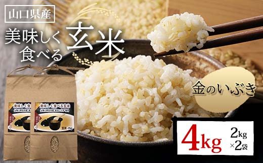 美味しく食べる玄米 計4kg 2kg×2袋 玄米 金のいぶき 小分け 定期便 ご当地 グルメ 食品 F6L-1345 玄米 計4kg
