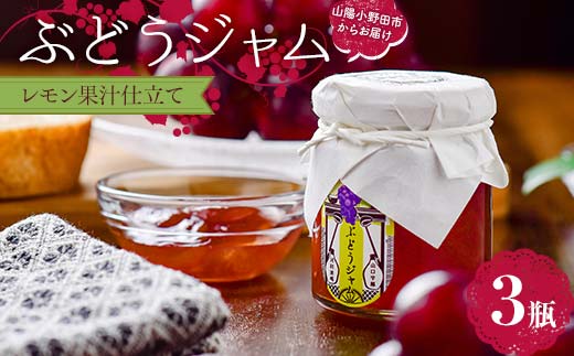 ぶどうジャム３瓶（レモン果汁仕立て３瓶）100g×3 ぶどう ジャム 加工品 食品 F6L-1148