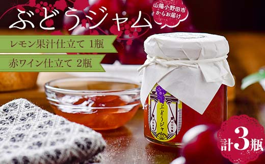 ぶどうジャム３瓶（レモン果汁仕立て1瓶・赤ワイン仕立て2瓶）100g×3 ぶどう ジャム 加工品 食品 F6L-1151