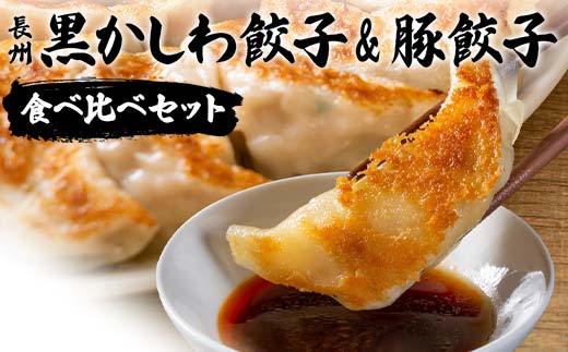 長州黒かしわ餃子＆豚餃子 食べ比べセット F6L-1330