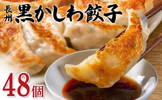 長州黒かしわ餃子 48個入り 手作り 生餃子 餃子 国産野菜 冷凍 化学調味料不使用 化学調味料無添加 らいちの餃子 黒かしわ 長州黒かしわ F6L-951 48個入り