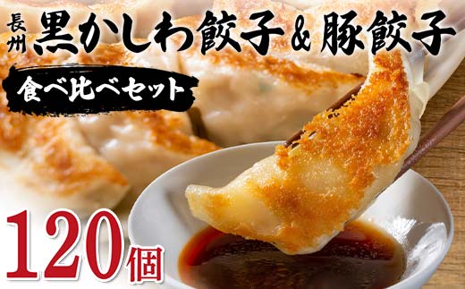 長州黒かしわ餃子＆豚餃子 食べ比べセット 120個入り 手作り 生餃子 餃子 国産野菜 冷凍 化学調味料不使用 化学調味料無添加 らいちの餃子 黒かしわ 長州黒かしわ F6L-956  120個入り