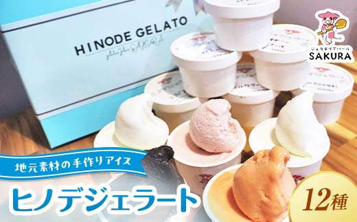 ヒノデジェラート プレミアムフレーバー入り 12個セット 各90ml ジェラート セット ミルク 山猿 ショコラ トマト ヨーグルト きなこ きなこもち チョコチップクッキー つぶあん アイス デザート ご当地 F6L-971