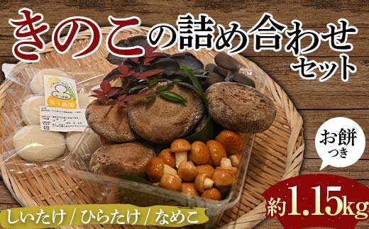 【先行予約】きのこの詰め合わせセットお餅つき（約1,150g）  農家直送 しいたけ ひらたけ なめこ お餅 ご当地 グルメ 食品  F6L-1139