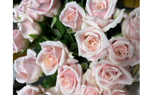 おまかせ薔薇の花束(20本）