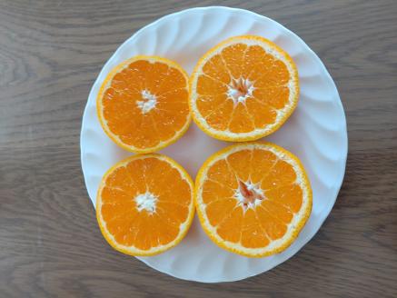 【周防大島産】せとみ（晩柑類）　5kg