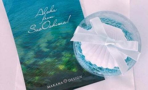 周防大島ネックレス（シェルジュエリーケース付）