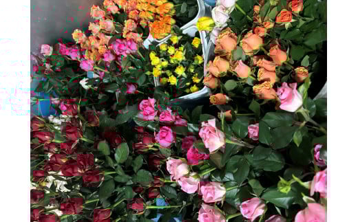 おまかせ薔薇の花束(20本）