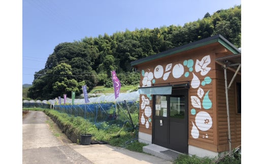 せとうち周防大島　周防大島ジャム４本セット