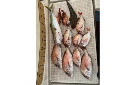 貸し切りクルーザーでの手ぶらで釣り体験　人気のランチ付き　2名様分