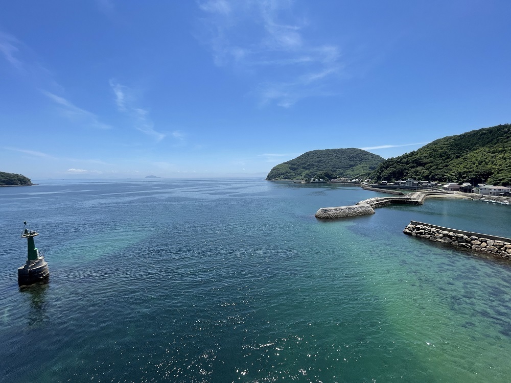 【周防大島産｜国内最高級】沖家室ひじき（１２セット）